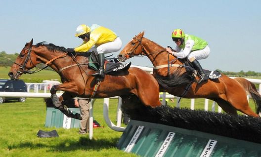 OTAY KAWN and David Casey  beat Decoy Daddy 