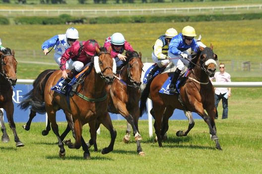 Six Of Hearts (cheekpieces) comes to lead in the first