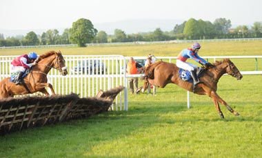 Hintsnallegations strides on under Tom Doyle