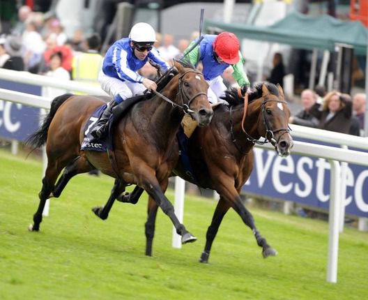 Ask (right) wins by a nose from Youmzain