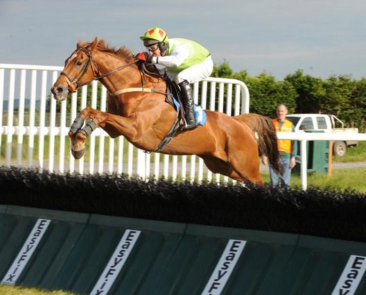 DECOY DADDY and Robert Power  trainer Tony Mullins 