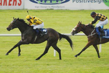 Danny Mullins aboard Ain Jalout