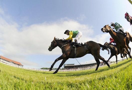 Niall McCullagh aboard Mountain Coral