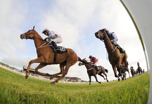 No Trimmings seen here winning at Navan last year