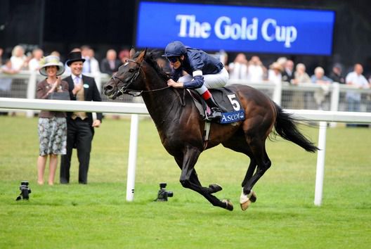 Four-time Ascot Gold winner Yeats