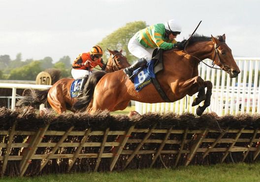 Denis Hogan and What's New