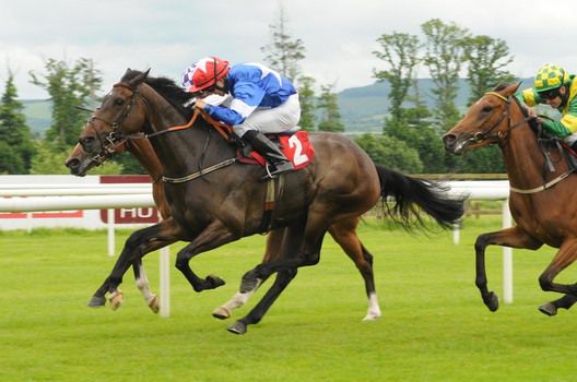 Blackwith Woman wins under Ben Curtis