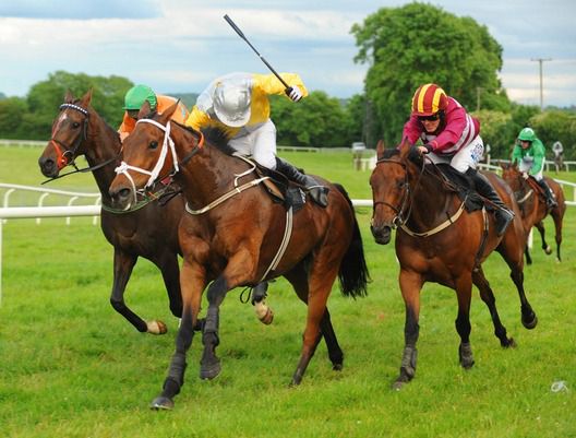 Golden Kite (centre, yellow/grey) seen winning at Kilbeggan earlier this summer