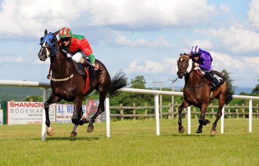 Diyla defeats Proud Ruler at Sligo