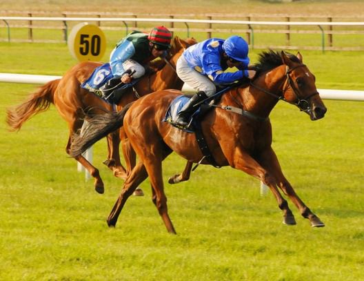 Carazam and Wayne Lordan