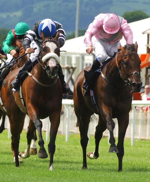 Audi Pretty Polly Stakes DAR RE MI and Jimmy Fortune right just wins from BEACH BUNNY C Hayes for trainer John Gosden 