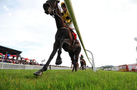 Raise The Goblet and Colin Motherway