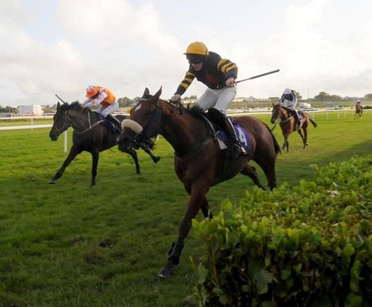 Angels Share (Luke McNiff) defeats Jills Oscar