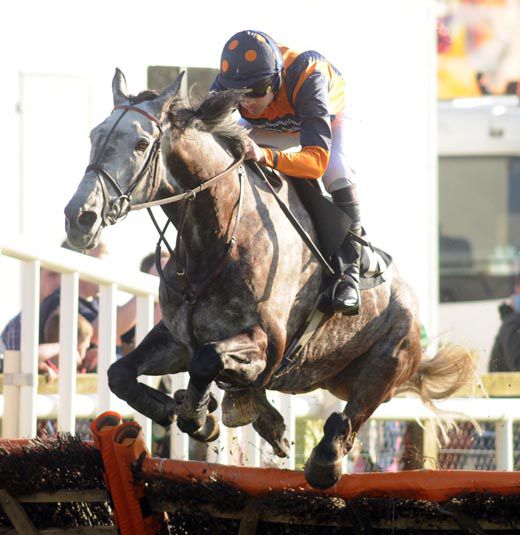 Older And Wiser negotiates the last for an easy win