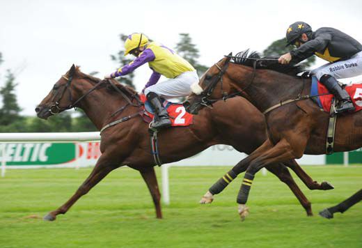 Belle Ridge gets the better of Sciatin