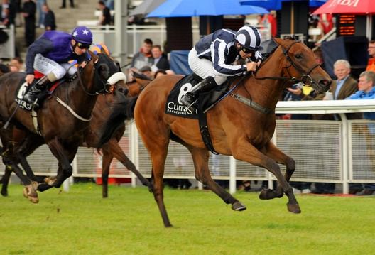 Walk On Bye and Wayne Lordan 