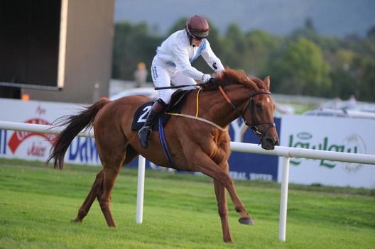 Becauseicouldntsee wins under Liz Lalor