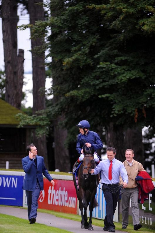 Caberet and John Murtagh   are led in for Team Ballydoyle after they won 