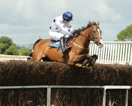 Sher Why Not & Ruby Walsh in action