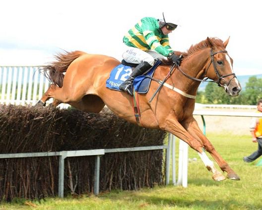 Wins Now clears the last full of style