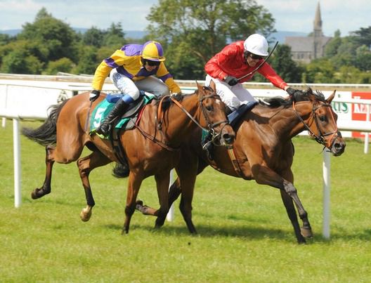 JUMBO RIO and Andrew McNamara FAR Cuan Na Grai