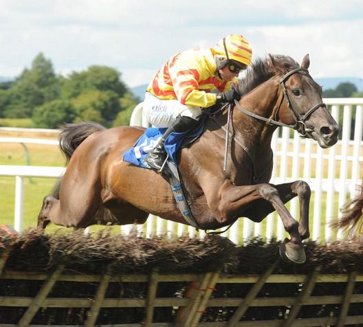 The Rebel Returns pings a hurdle at Tipp