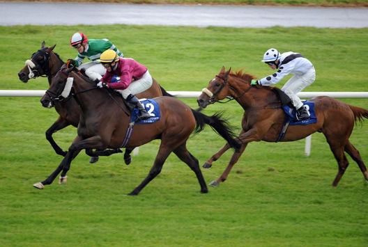 Lus Na Hoiche scores at Ballinrobe