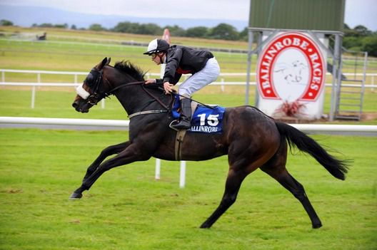 Coughlans Locke crosses the line under Shane Gorey