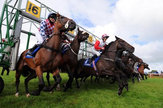 Steig breaking from stalls to initiate a Gary Carroll double