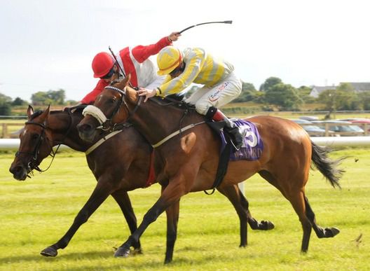 Reflected Image and Pat Smullen (near)  just beat Sandymount Lady  