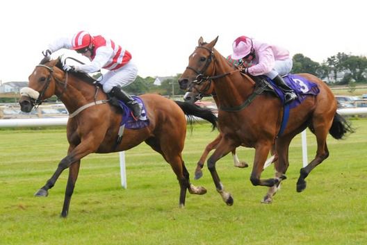 Akinspirit (leading) seen here winning at Wexford in July.