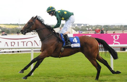 Tellelle and Danny Mullins winning for trainer Liam McAteer 