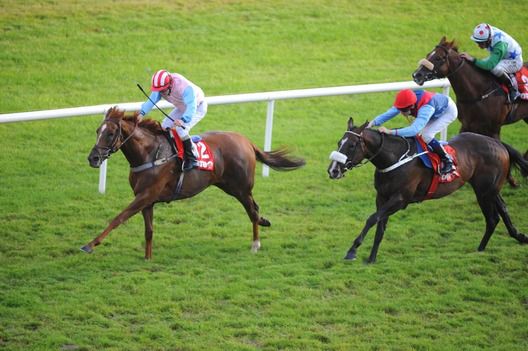 Sassy Gal and Shane Gorey wins from If Per Chance for trainer Peter Maher 