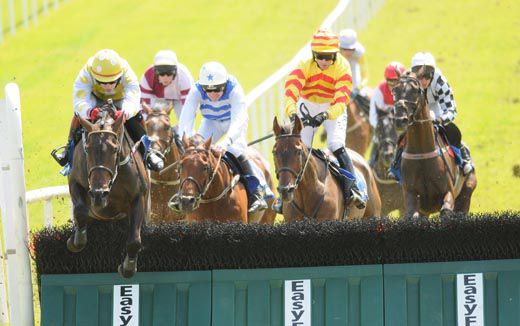 Tawaagg (blue&white) tracks leader No Stopping Sarah