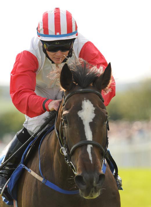 Steig and Gary Carroll