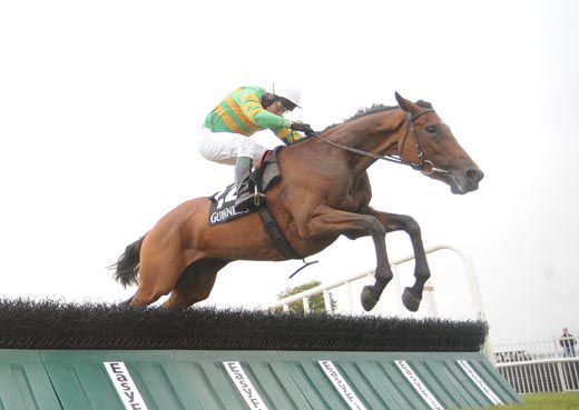 Padraig Roche and Back Me Up jump the last to win for trainer Christy Roche