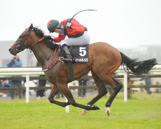 Billy Lee winning aboard Dan Noir 