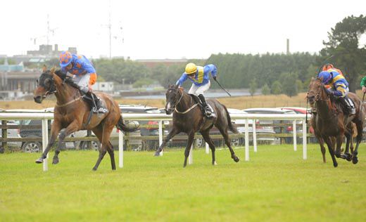 Drunken Sailor and Padraig Beggy winning for trainer Paul Flynn