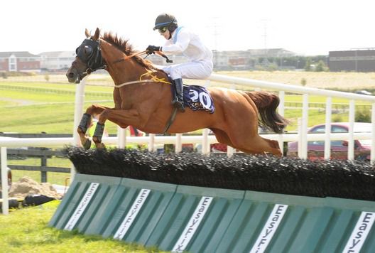 Island Myth pops the last