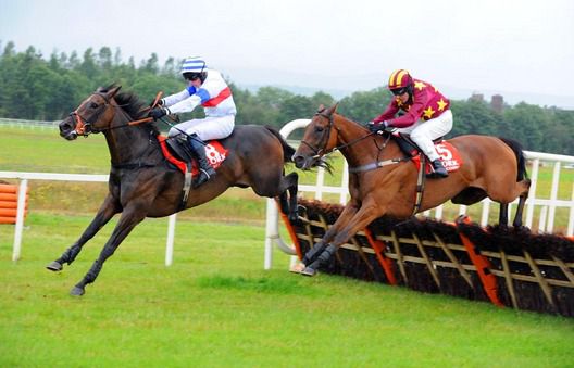 Hot Oscar (leader) is a Charlie Swan hopeful for next week