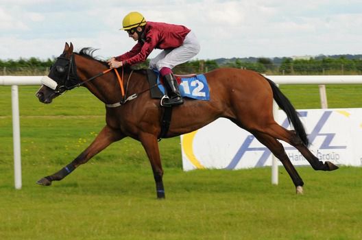 Water Side and Colm O'Donoghue win for trainer Micheal Flannery