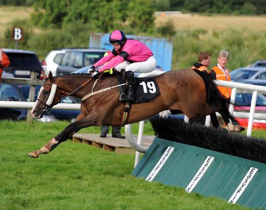 Dubai King jumps the last at Sligo