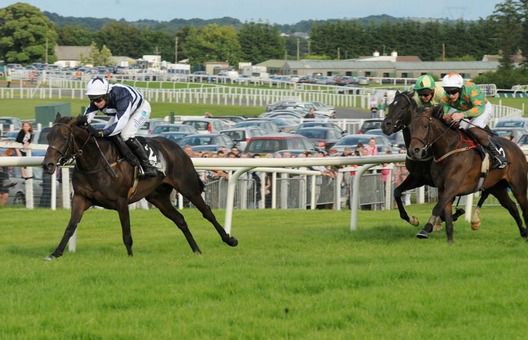 Bold Bibi leads the way home