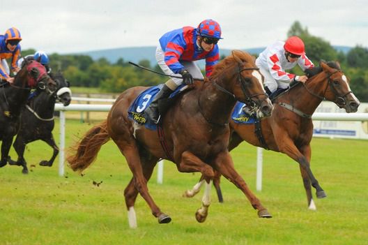 Hawthorne and Shane Gorey win from Capulet Monteque and Finest Artisan