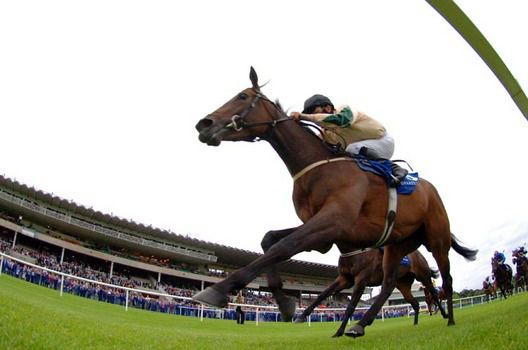 Asectoflove wins under Mick Kinane