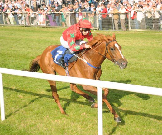 Mickey Cleere and Pride Celebre win impressively for trainer David Wachman