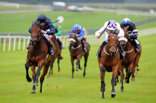 Gile Na Greine (right) defeats Black Eyed Susan (dark blue)