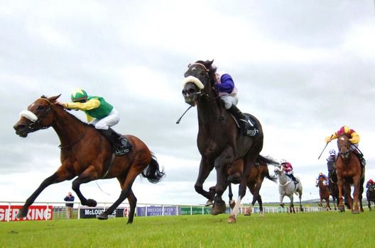 Girouette (nearest, with blue sleeves) just has the edge over Perfect Polly (far side)