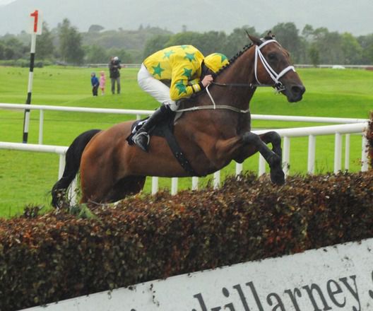 Coola Boola jumps the final fence under Shane Hassett