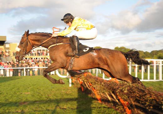 Pipers Blaze jumps the last under Jamie Codd